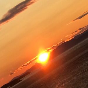 Meet your Posher, Lena